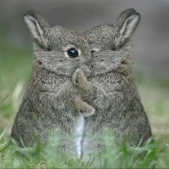 HAPPY VETERAN'S DAY EVERYDAY!! - Picture 14 of 16